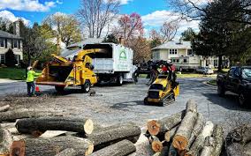 Best Firewood Processing and Delivery  in Long View, NC
